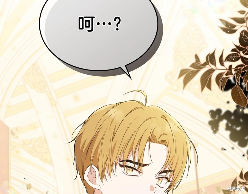 第 215 页