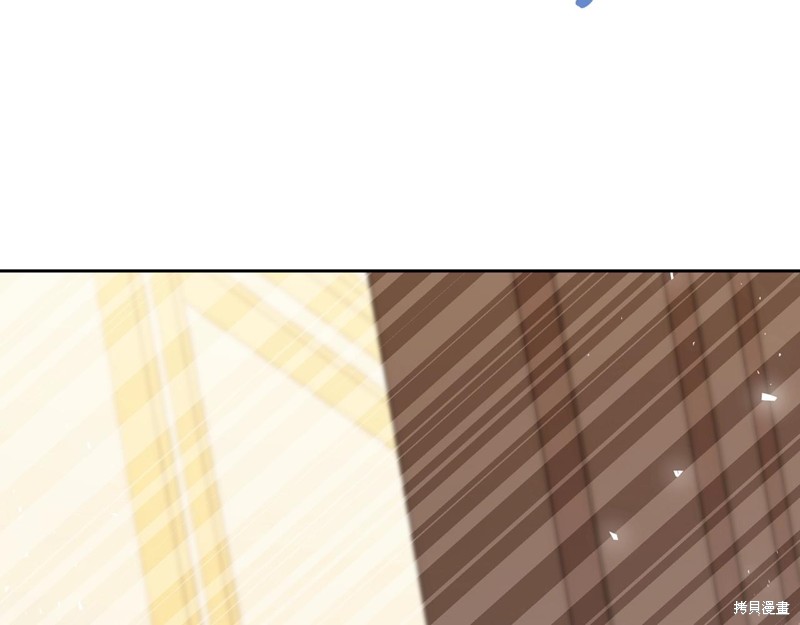 第 116 页