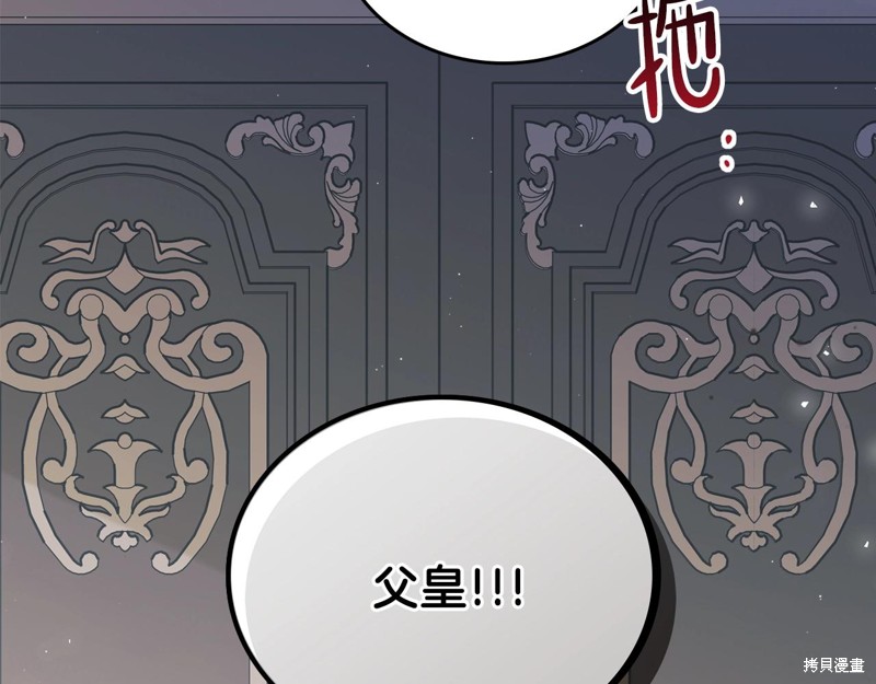 第 111 页