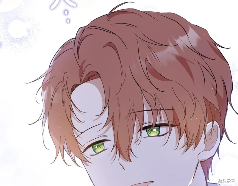 第 204 页