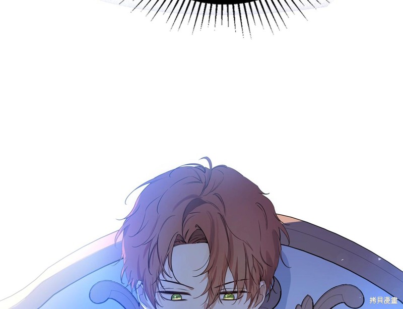第 217 页