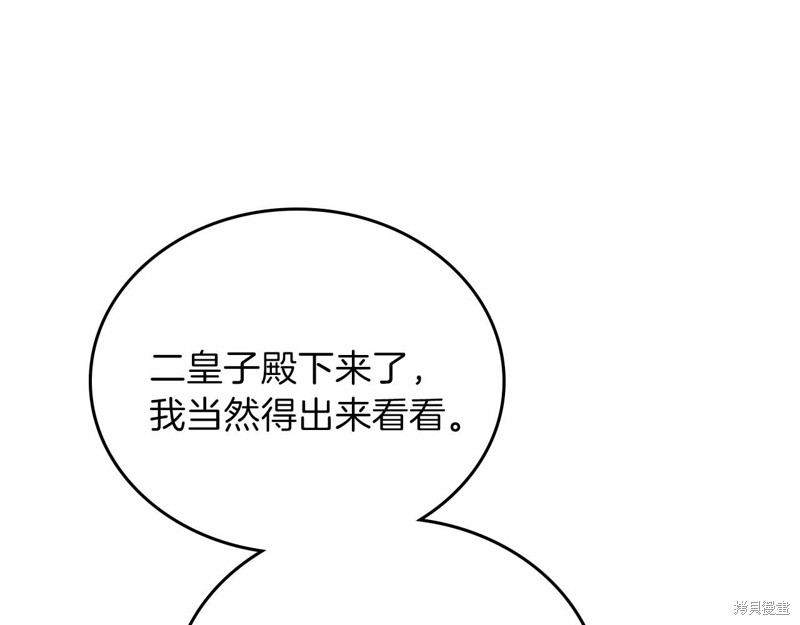 第 146 页