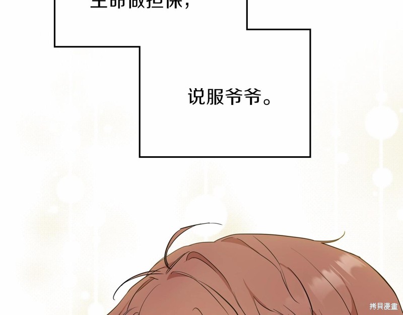 第 216 页
