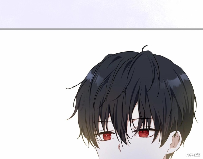 第 224 页