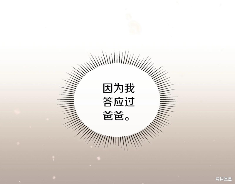 第 238 页