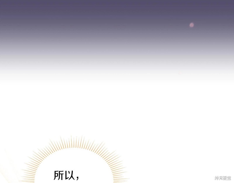 第 243 页