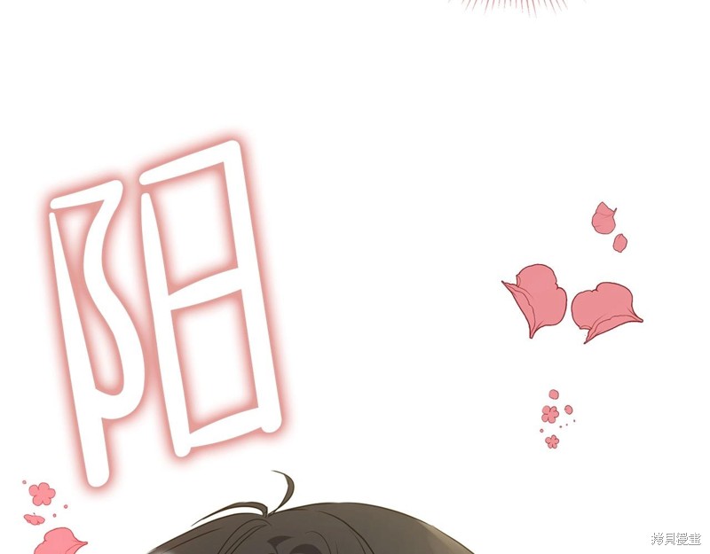 第 216 页