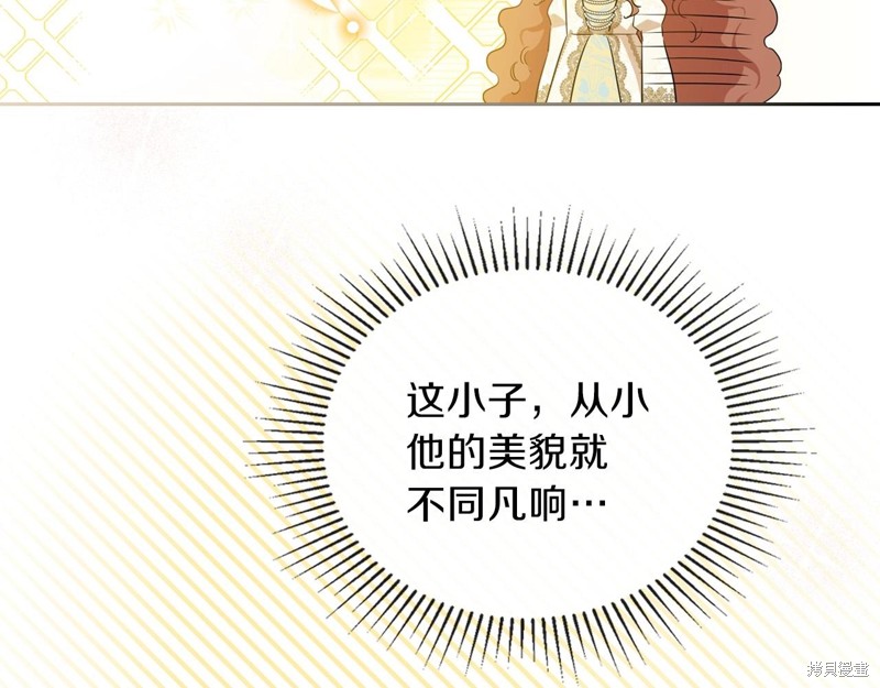 第 221 页