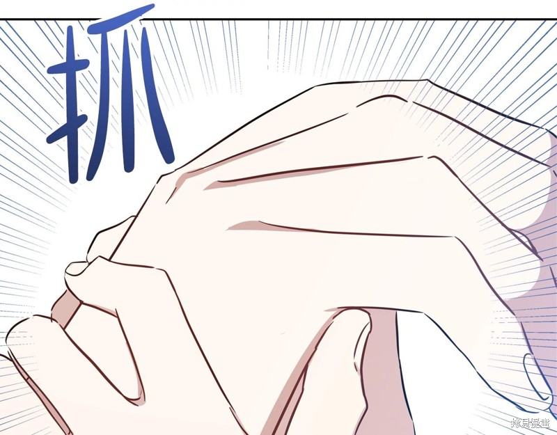 第 223 页
