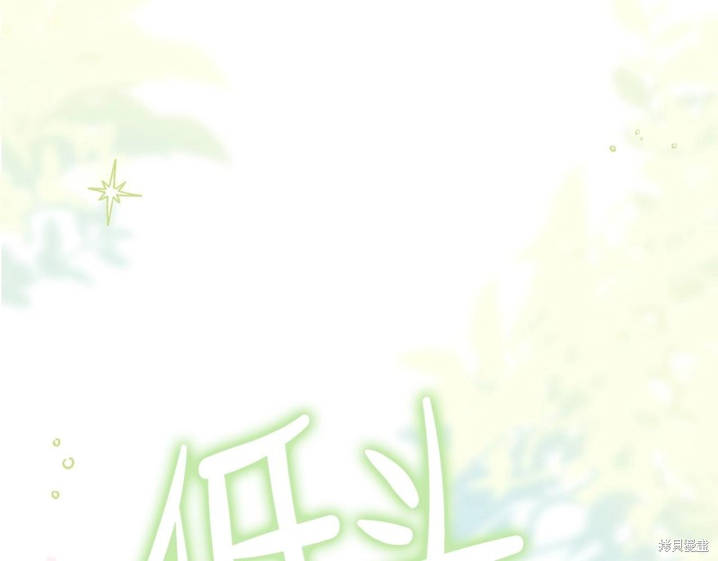第 241 页