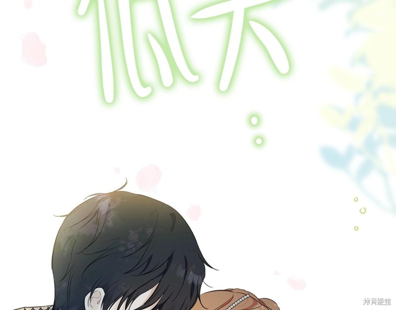 第 242 页