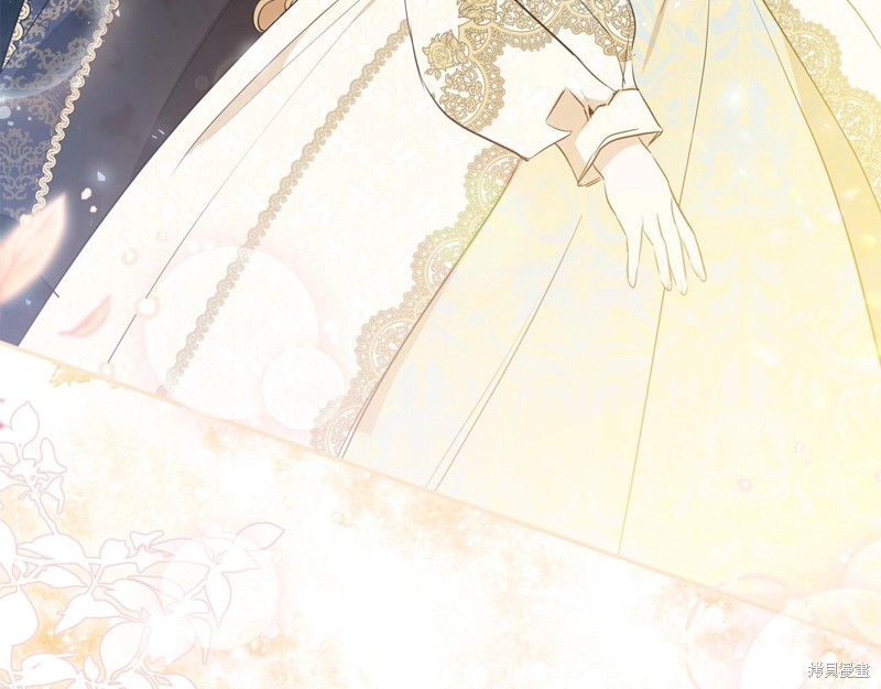 第 244 页