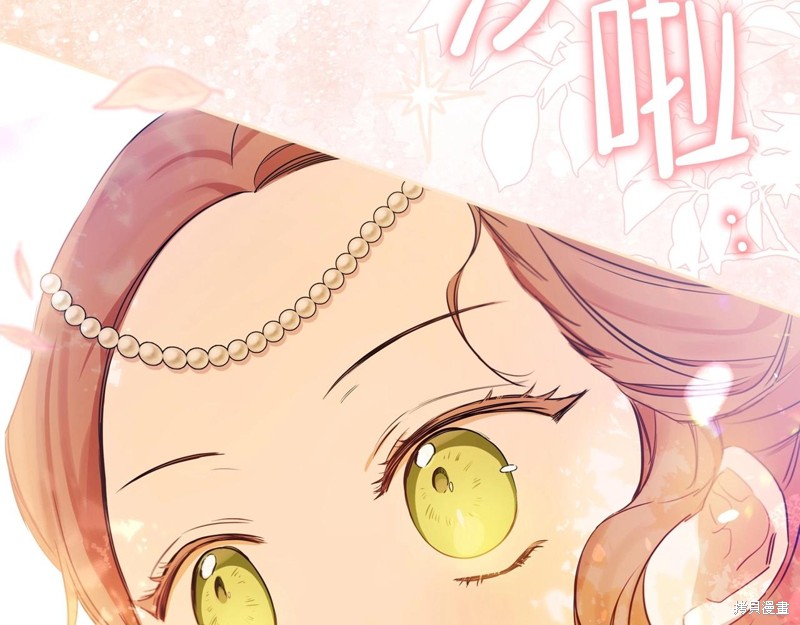 第 247 页