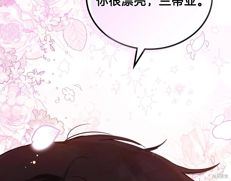 第 253 页