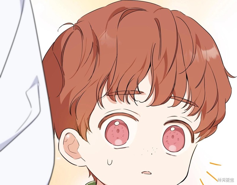 第 109 页