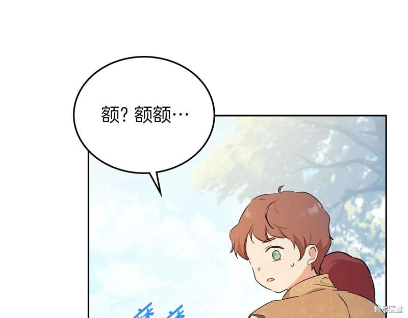 第 111 页