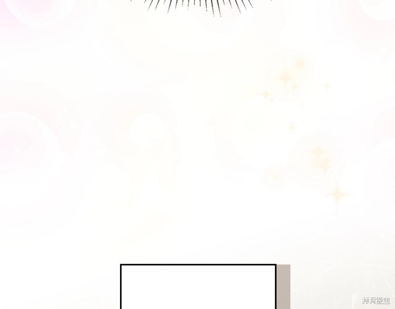 第 204 页