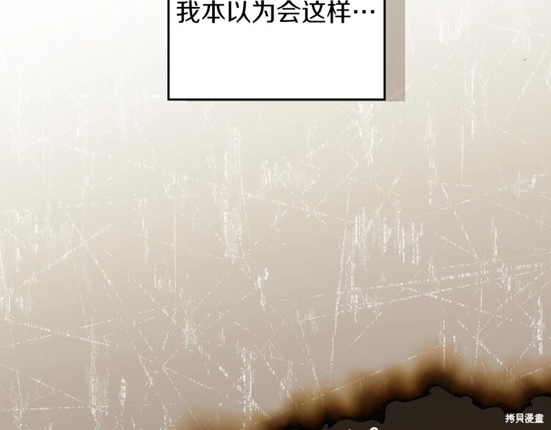 第 205 页