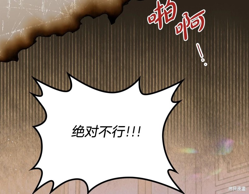 第 206 页