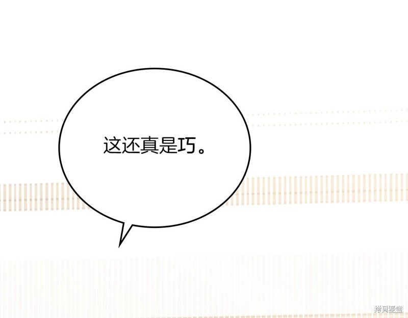 第 217 页
