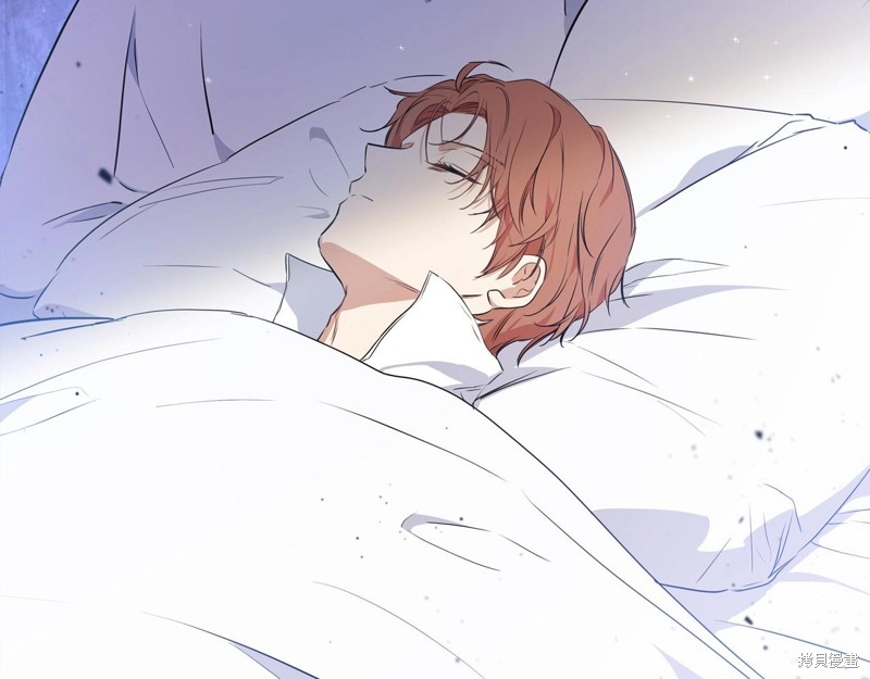第 106 页