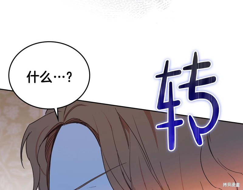 第 116 页
