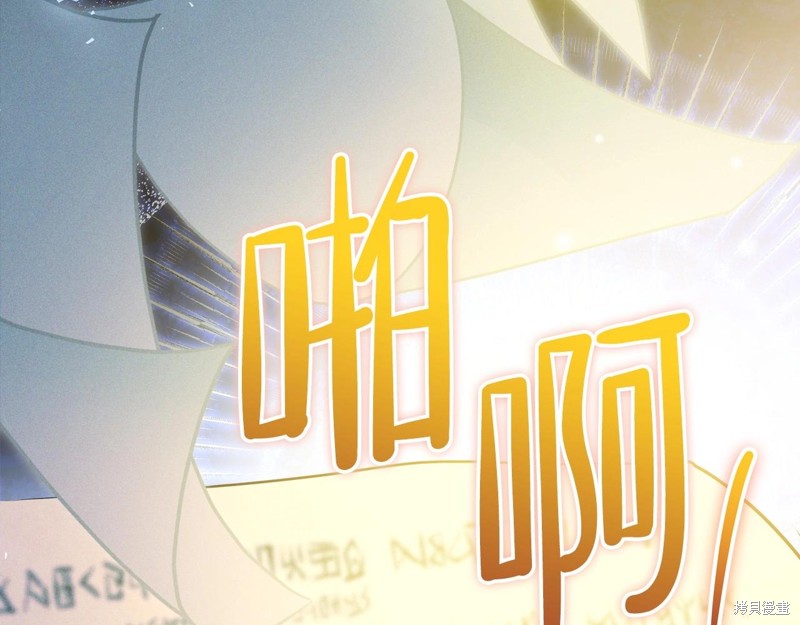 第 206 页