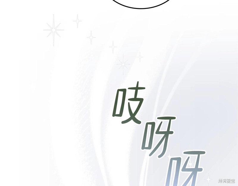 第 247 页