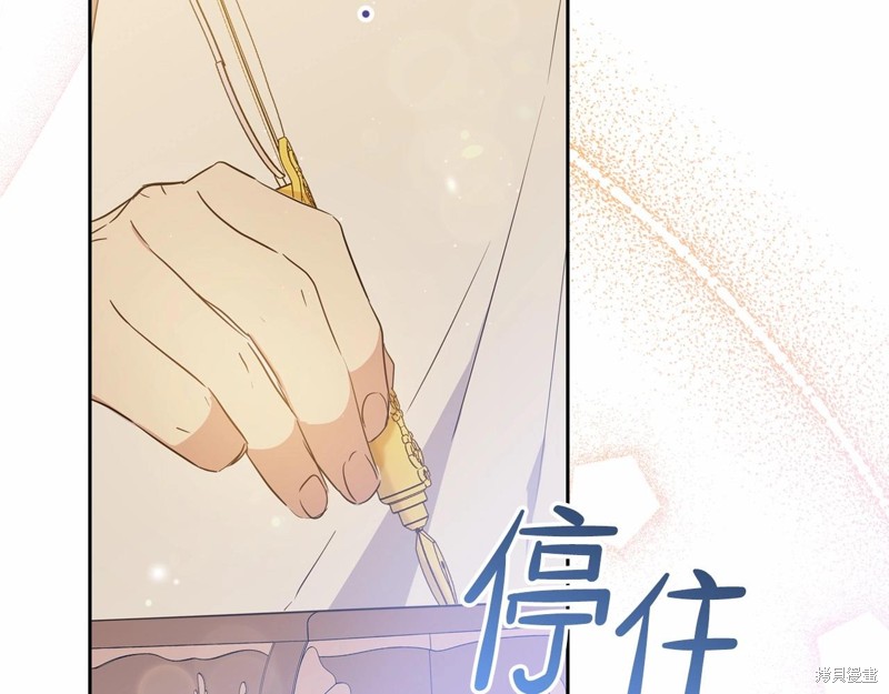 第 111 页