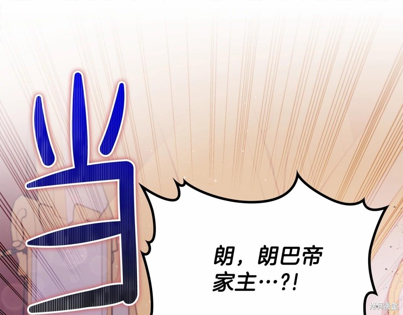 第 205 页