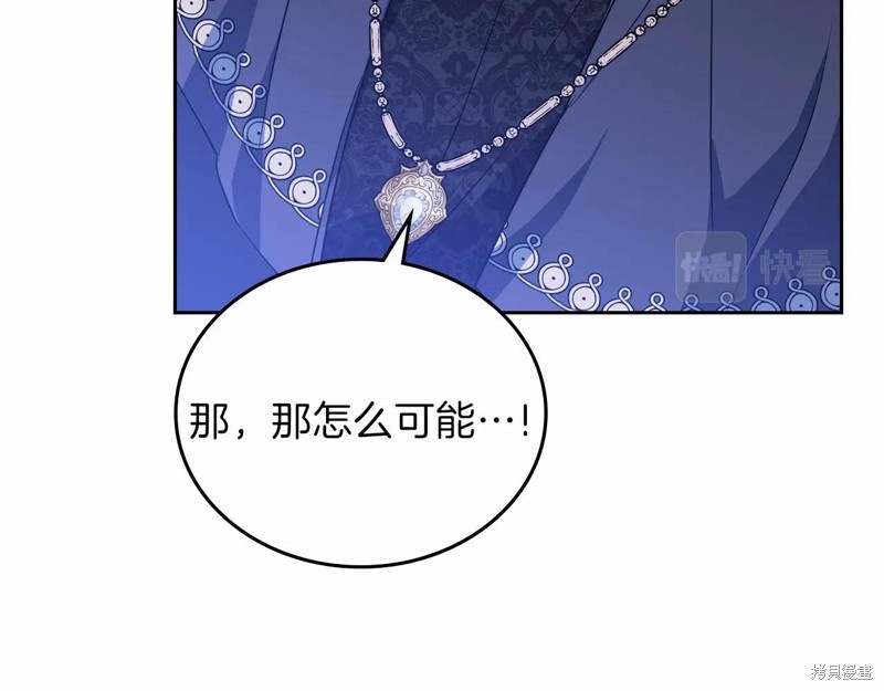 第 221 页