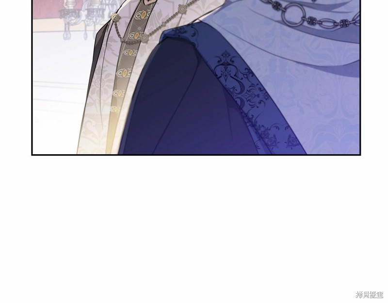 第 238 页