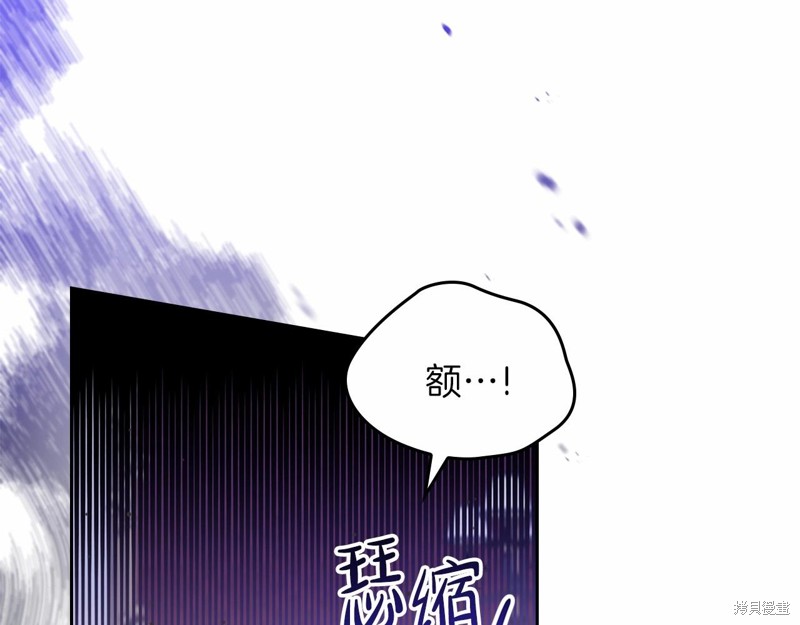 第 248 页