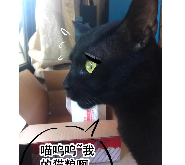 第 77 页