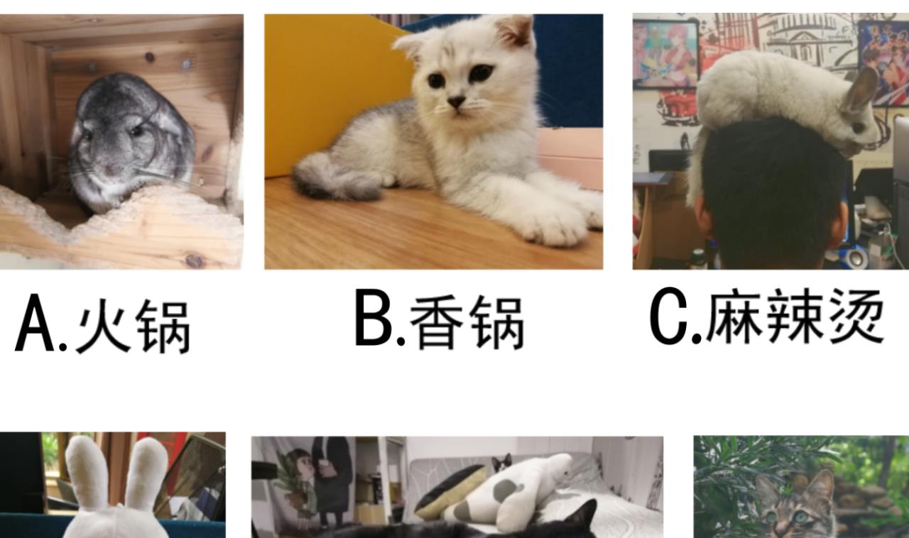 第 41 页