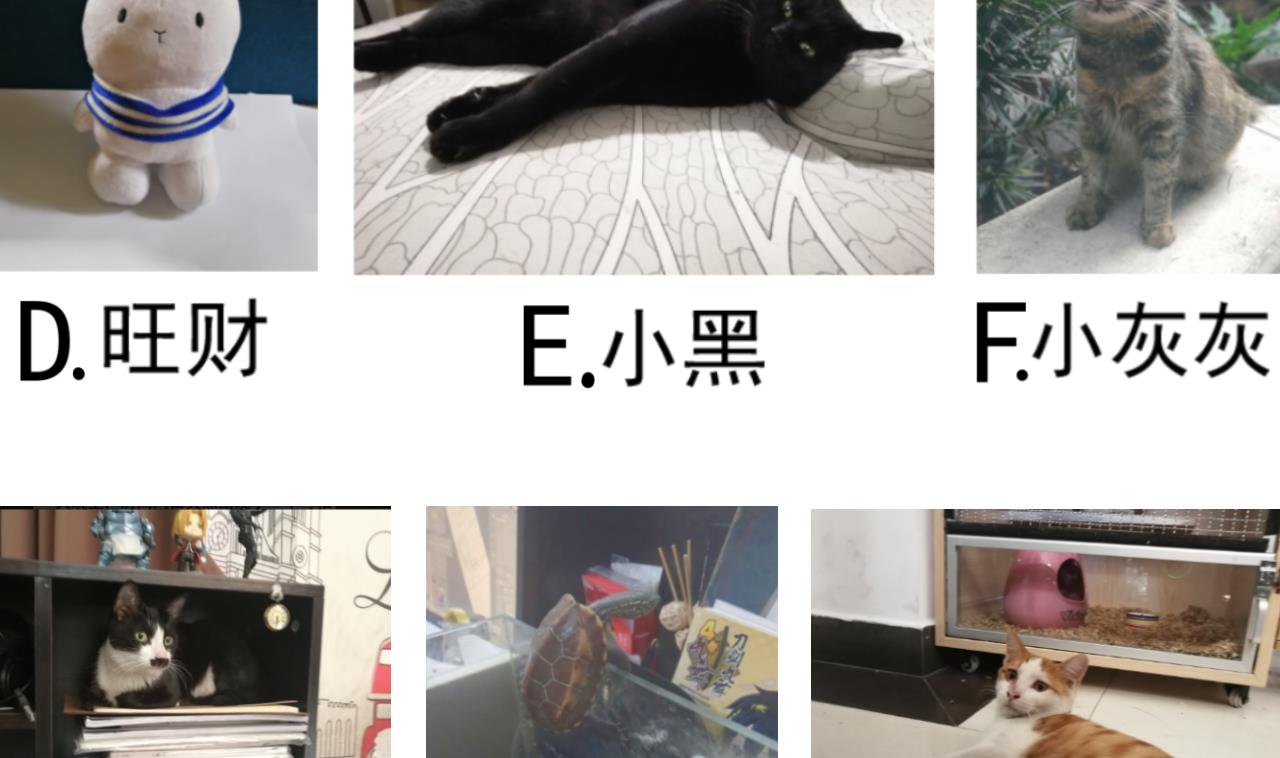 第 42 页