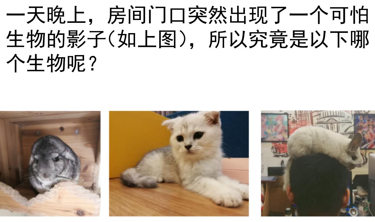 第 44 页