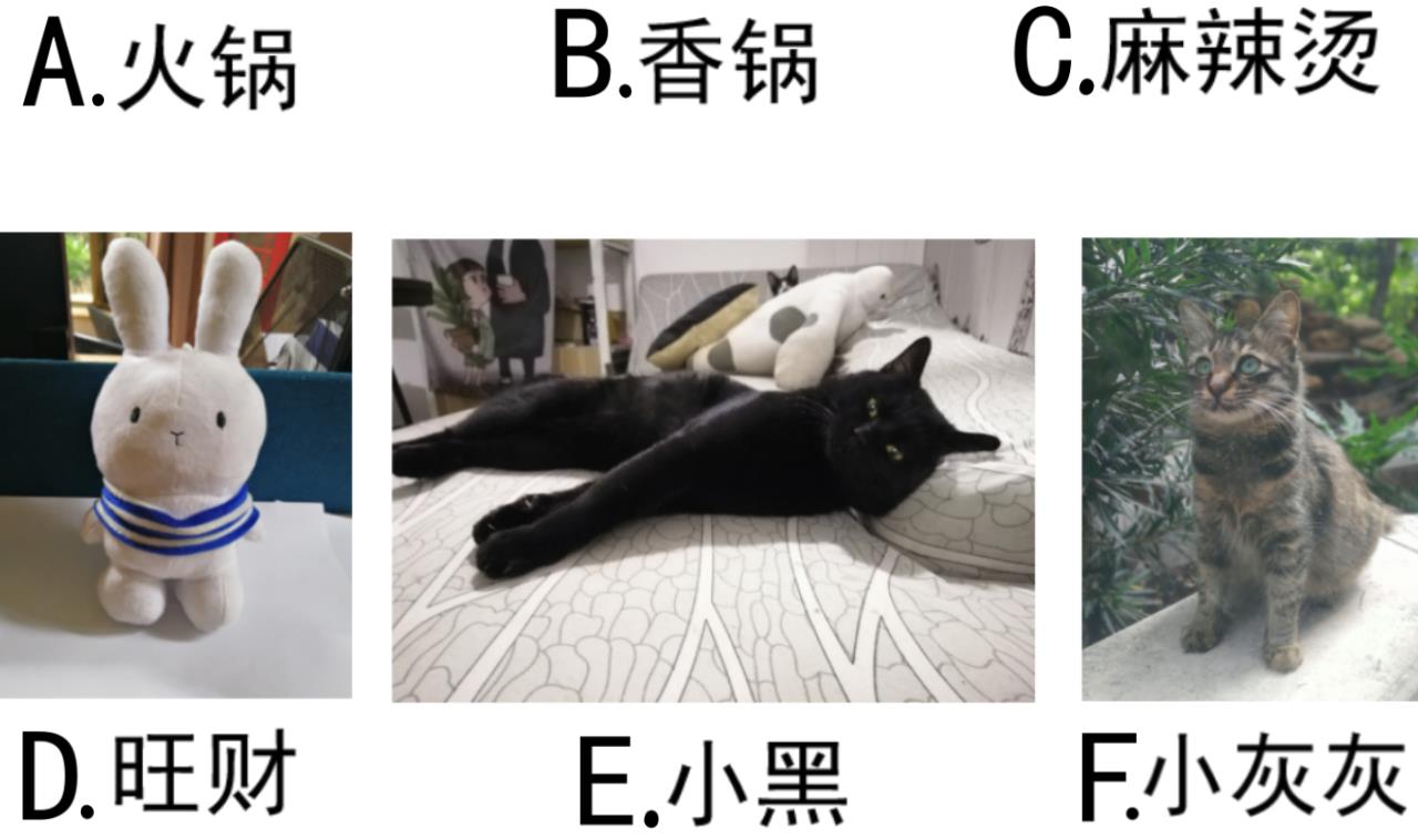 第 45 页