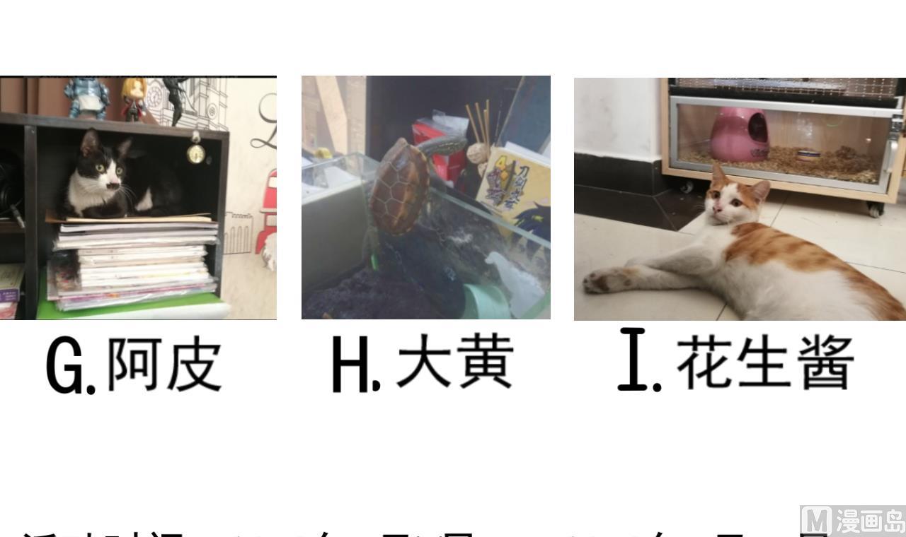 第 46 页