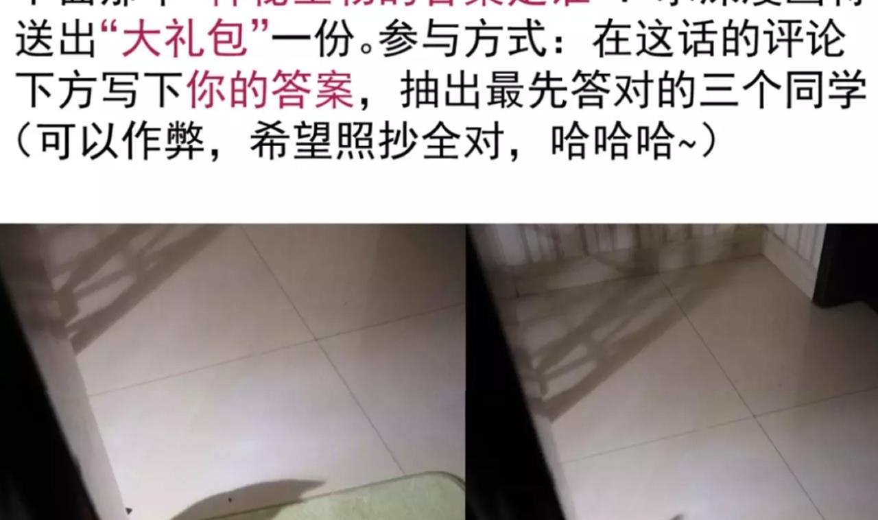 第 44 页