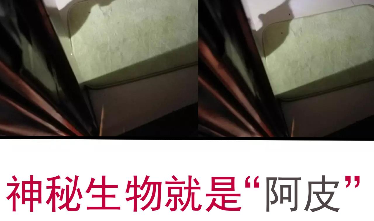 第 45 页