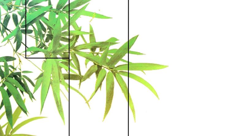 第 45 页