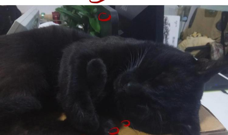 第 79 页