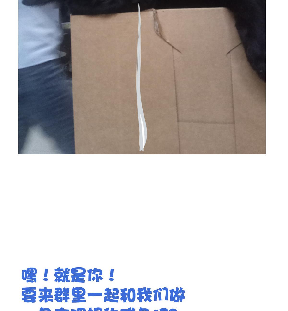 第 51 页