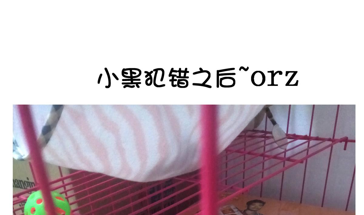 第 41 页