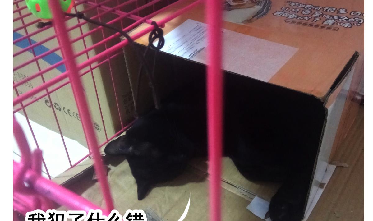 第 42 页