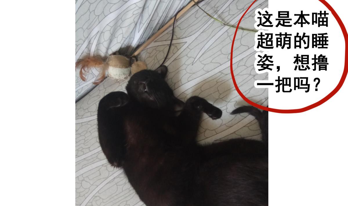 第 47 页