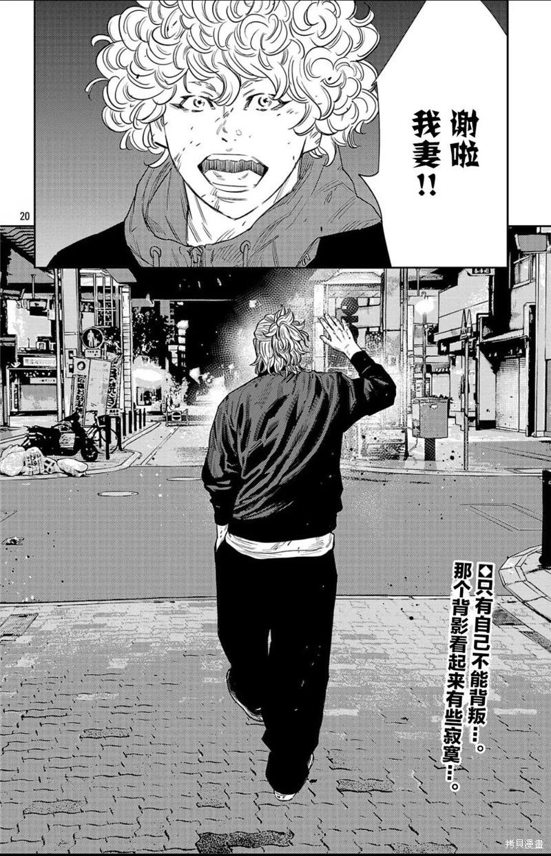第 20 页