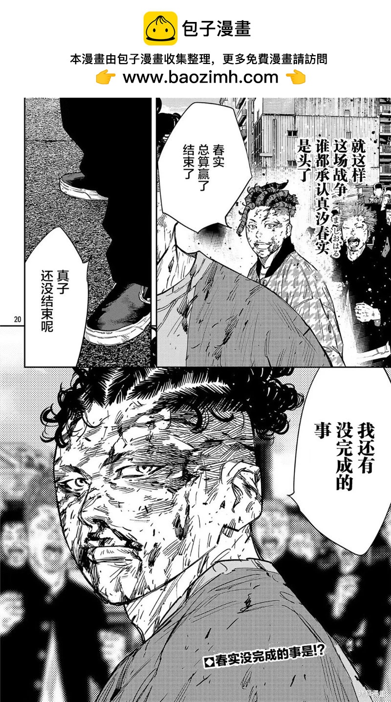 第 20 页