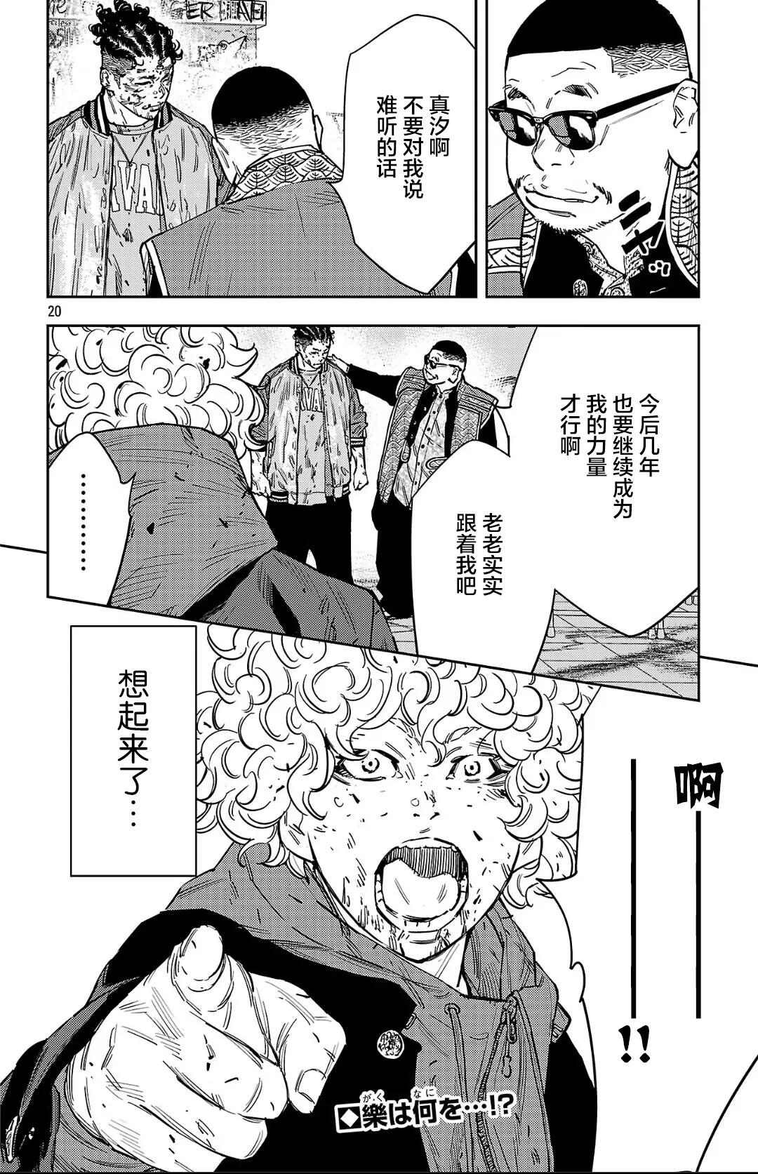 第 20 页